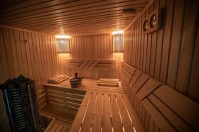 sauna-v-dome-1110