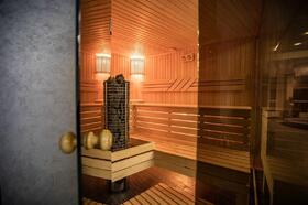 sauna-v-dome-1113