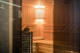sauna-v-dome-1117