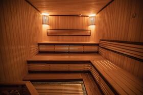 sauna-v-dome-1119
