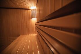 sauna-v-dome-1121
