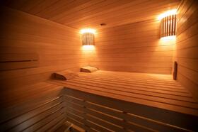 sauna-v-dome-1130
