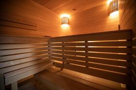 sauna-v-dome-1131