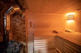 sauna-v-dome-1132