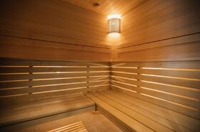 sauna-v-dome-1136