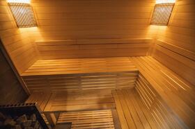 sauna-v-dome-1137