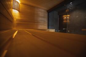 sauna-v-dome-1138