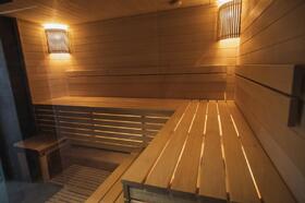 sauna-v-dome-1142