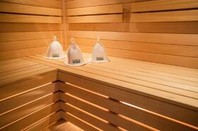 sauna-v-dome-16